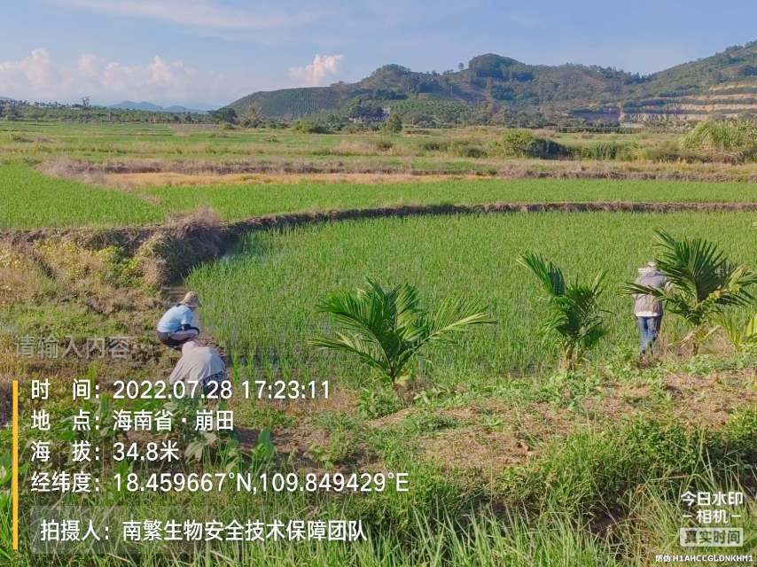 请输入内容…
