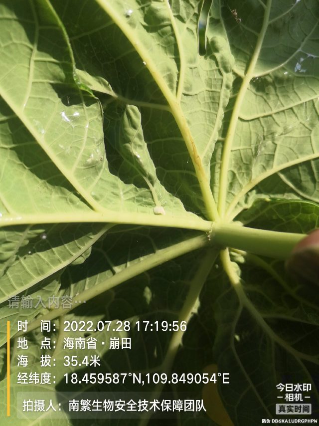 请输入内容…