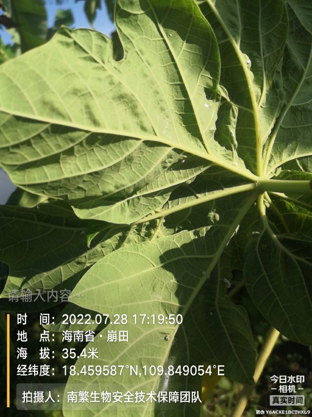 请输入内容…