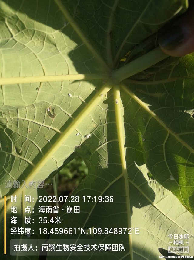 请输入内容…