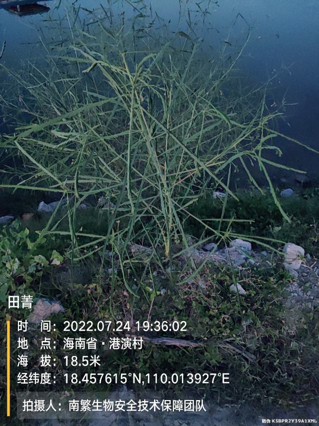 田菁