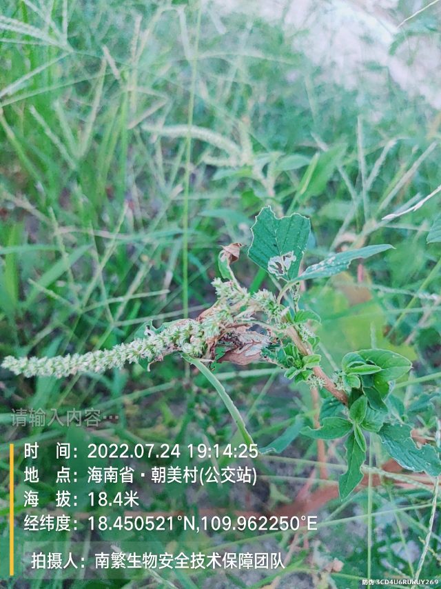 请输入内容…