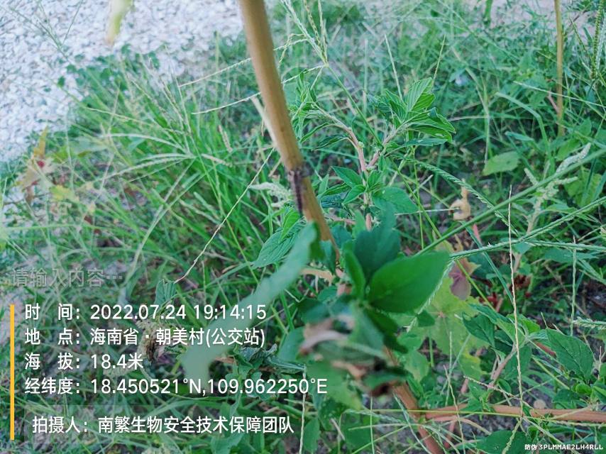 请输入内容…