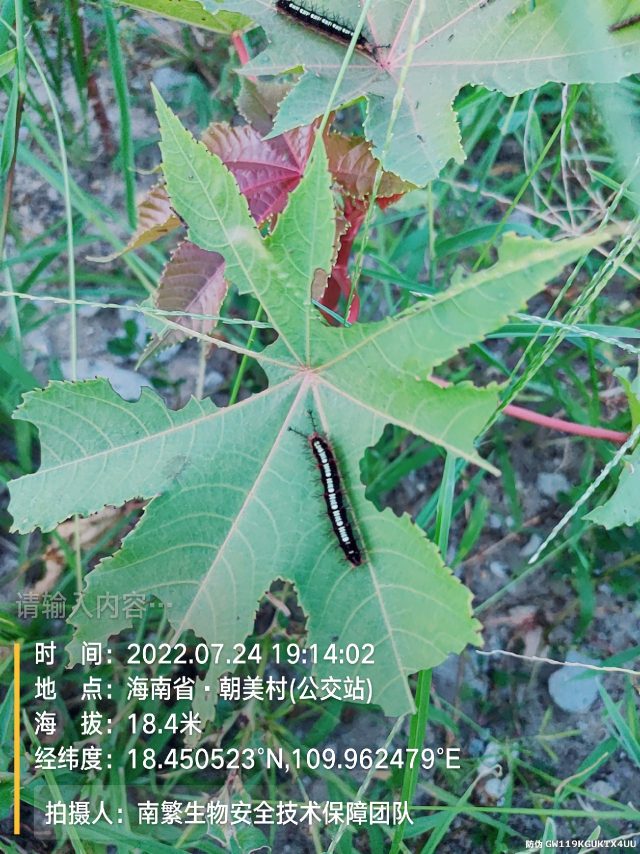请输入内容…