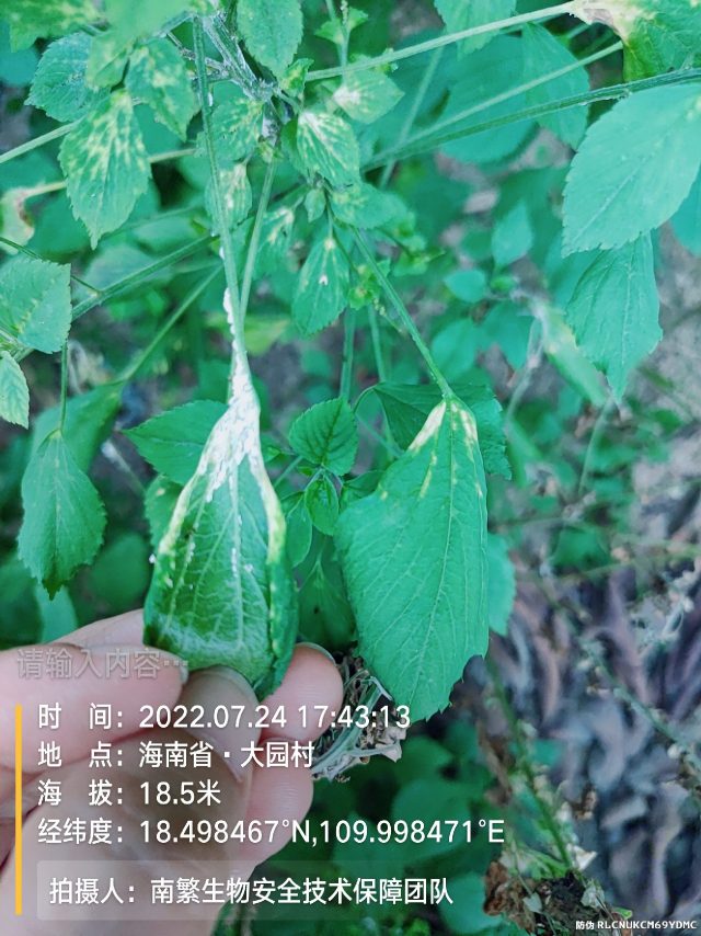 请输入内容…