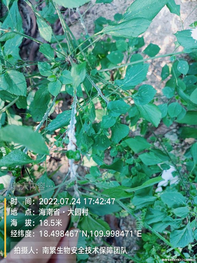 请输入内容…