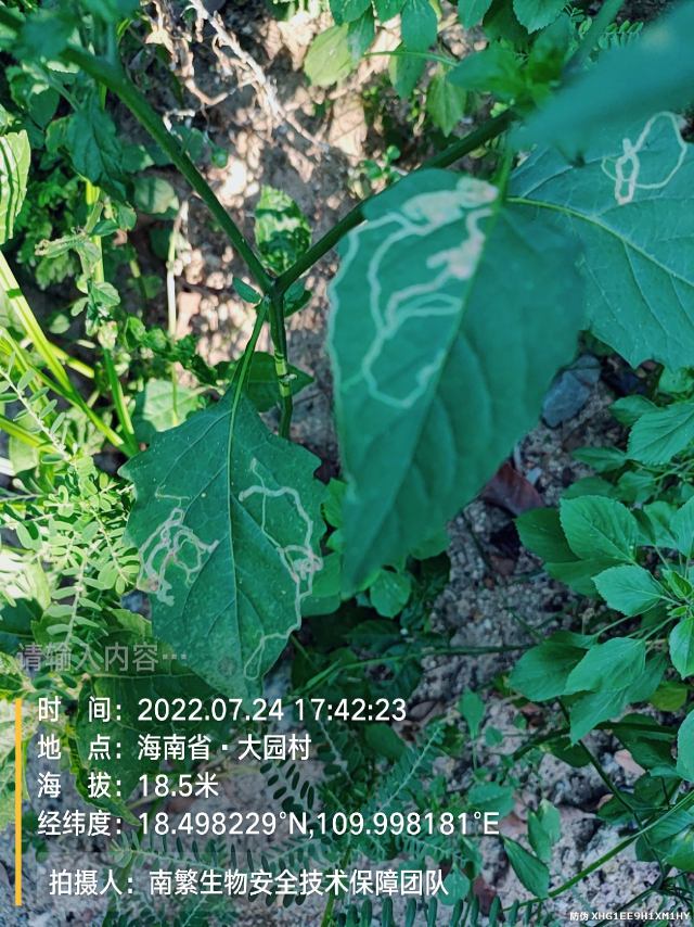 请输入内容…