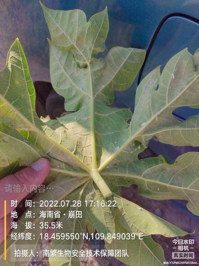 请输入内容…
