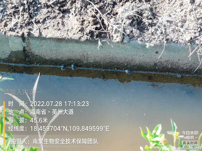 请输入内容…