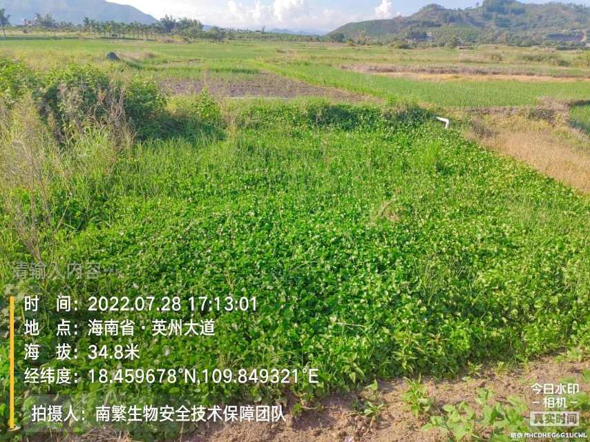 请输入内容…