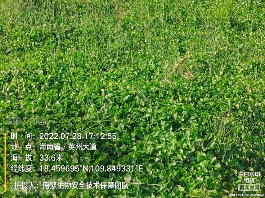 请输入内容…