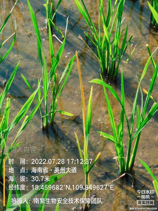 请输入内容…