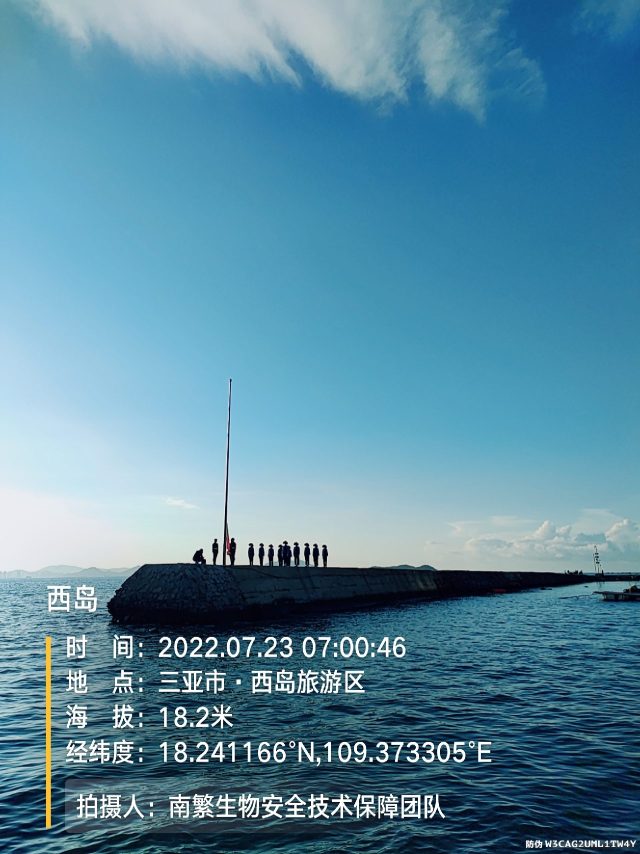 西岛
