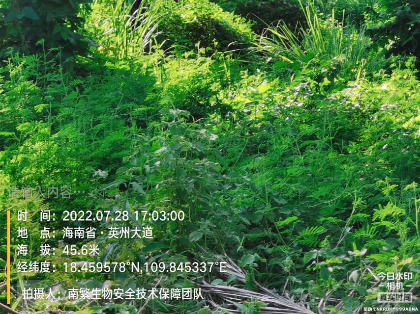 请输入内容…