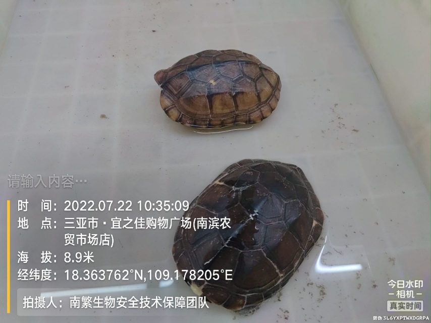 请输入内容…