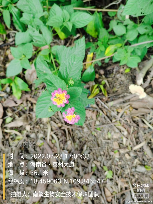 请输入内容…