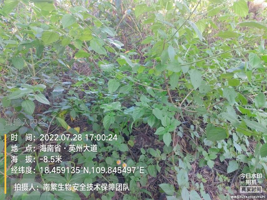 请输入内容…