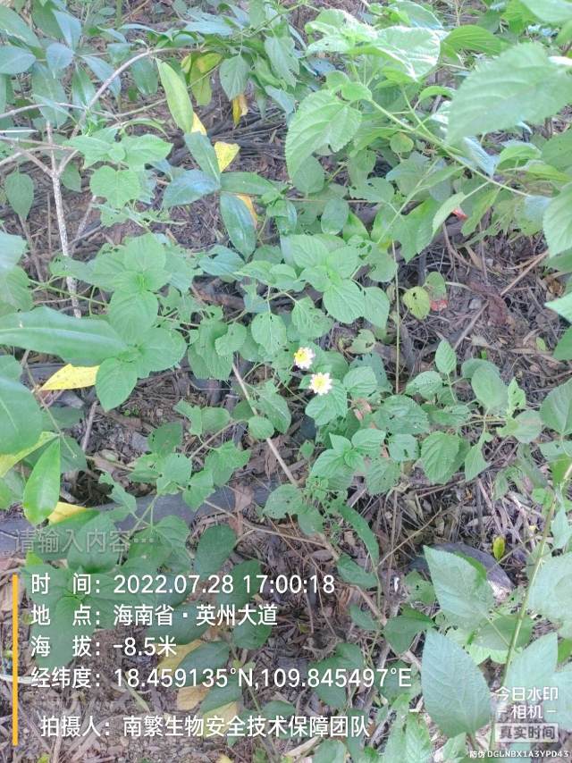 请输入内容…
