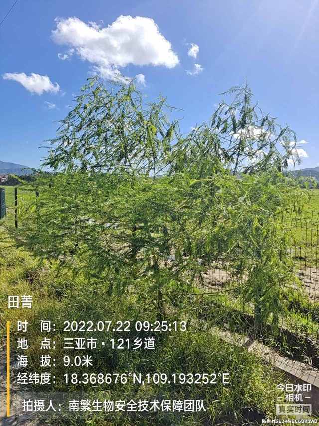 田菁