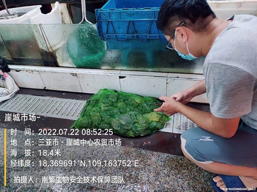 崖城市场-
