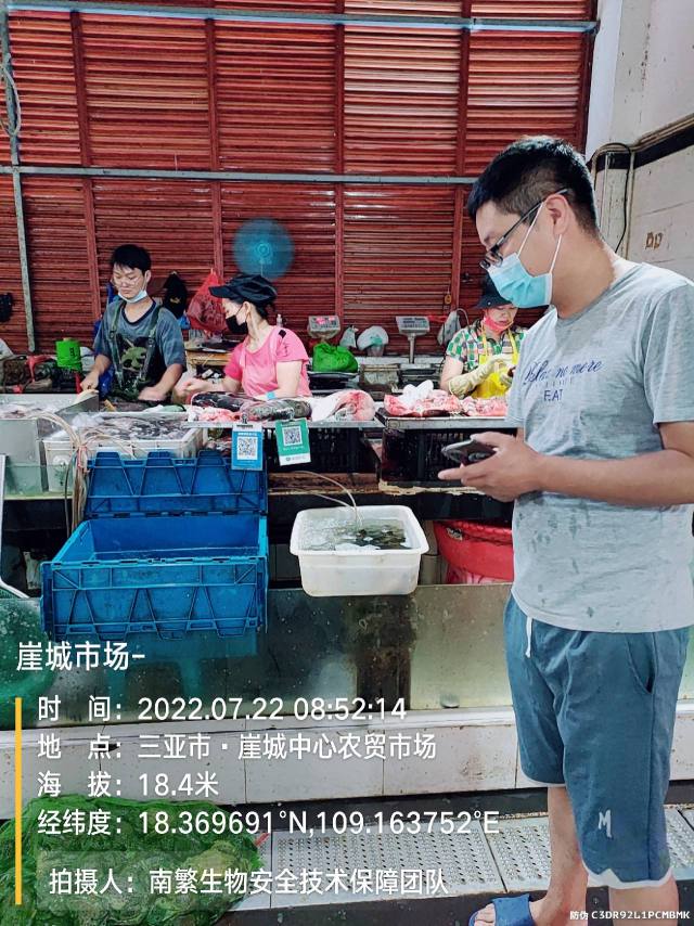崖城市场-