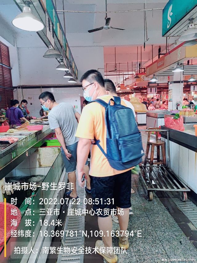 崖城市场-野生罗非