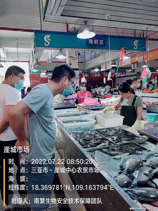 崖城市场
