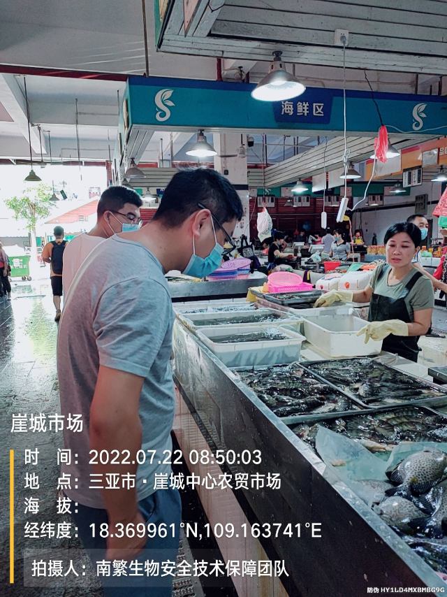 崖城市场