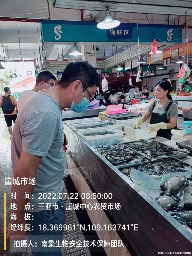 崖城市场