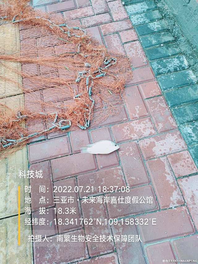 科技城