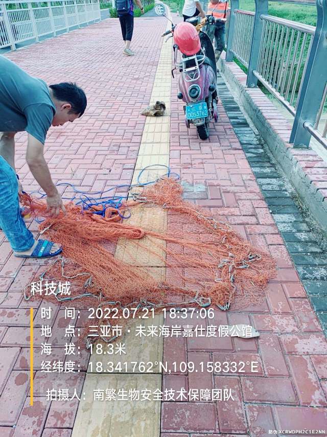 科技城