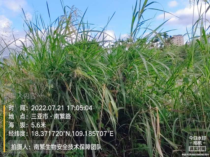 请输入内容…