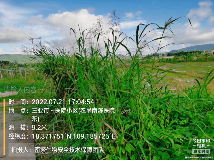 请输入内容…