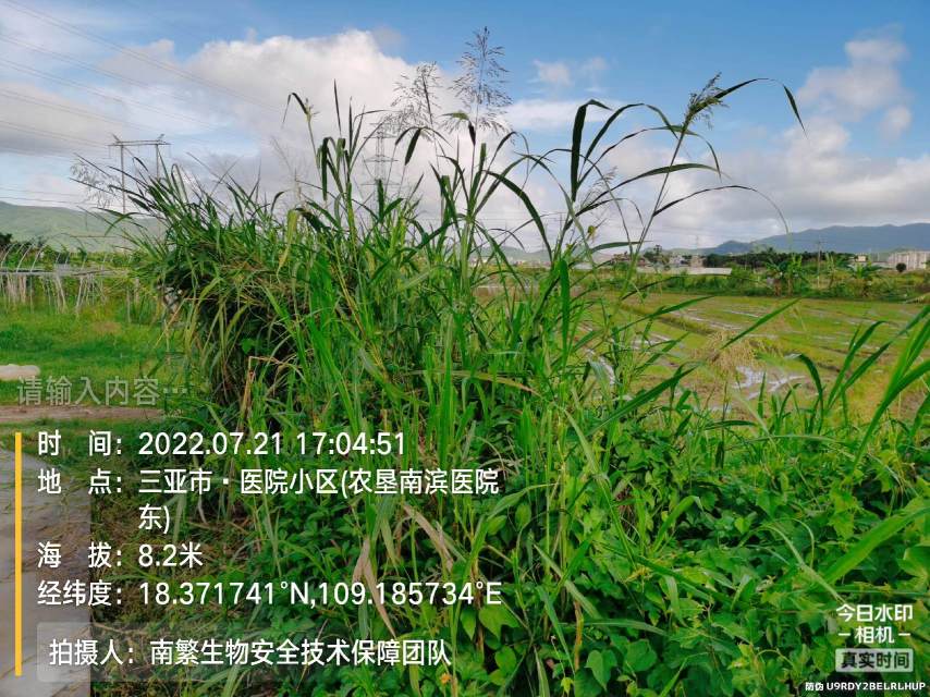 请输入内容…