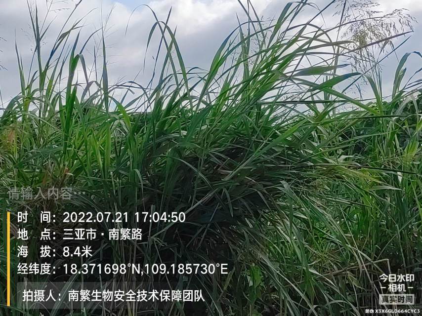 请输入内容…