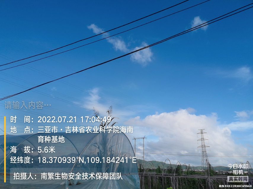 请输入内容…