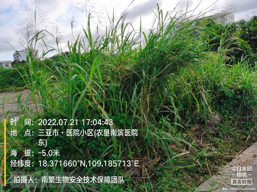 请输入内容…