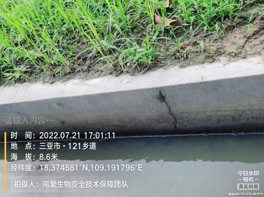 请输入内容…