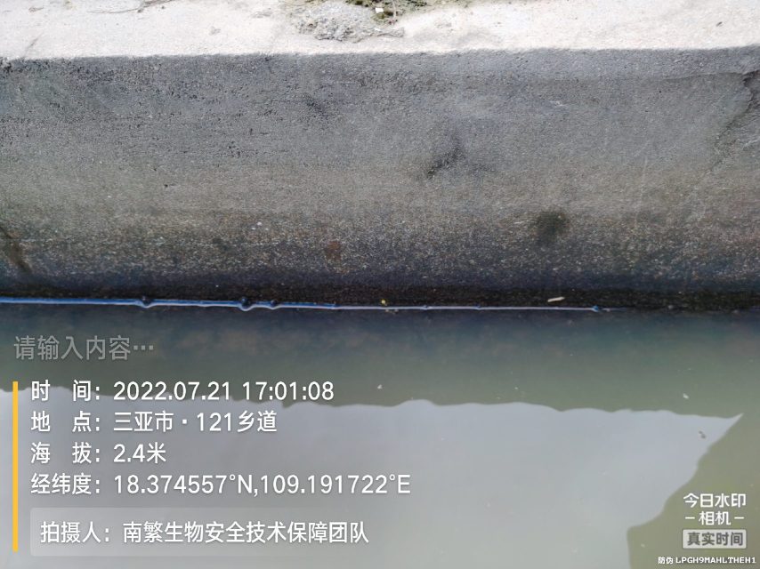 请输入内容…