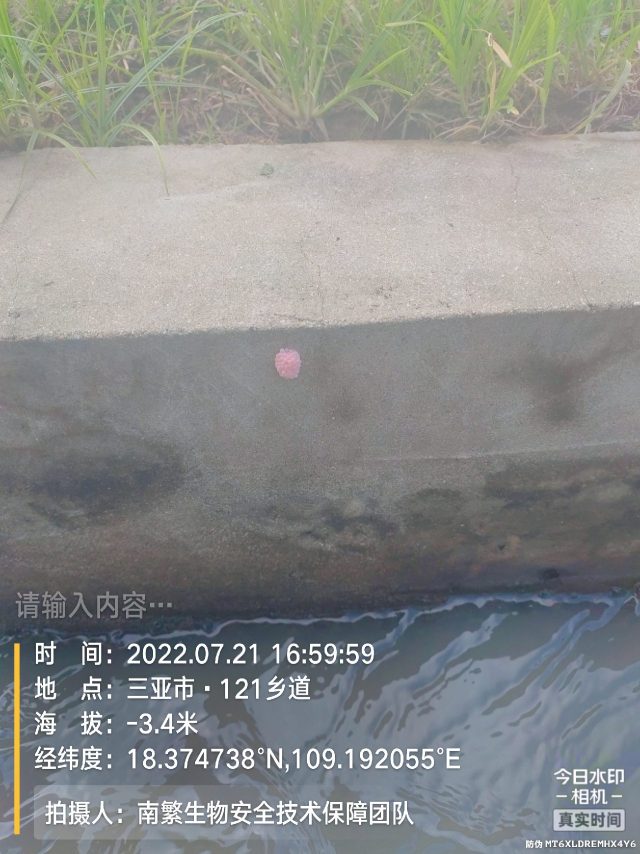 请输入内容…