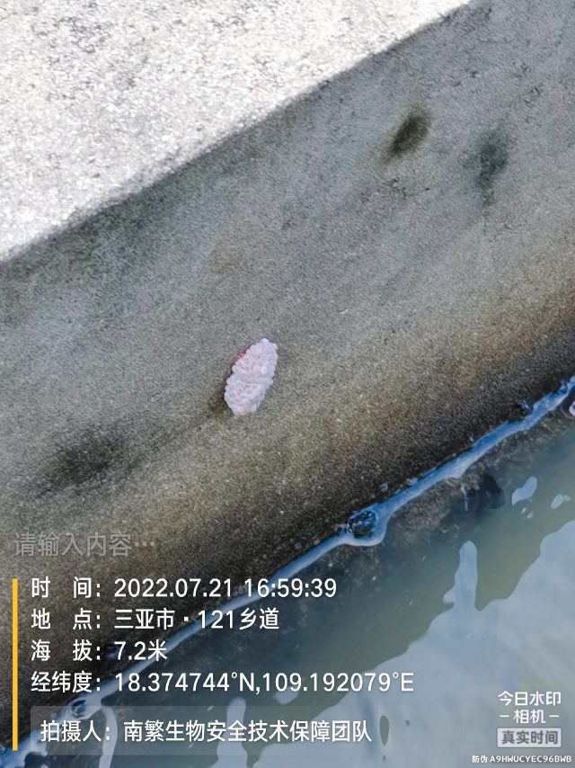请输入内容…