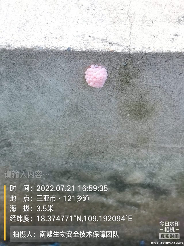 请输入内容…