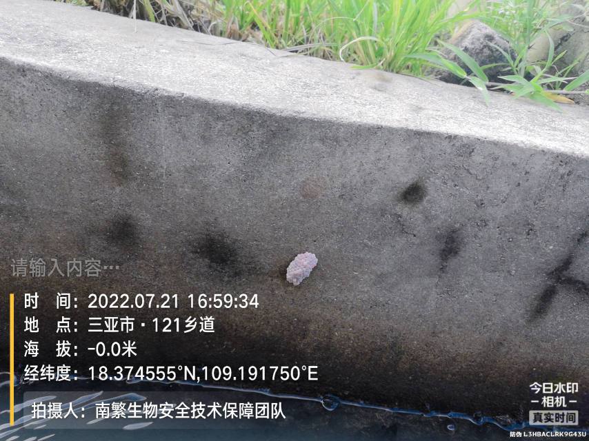 请输入内容…