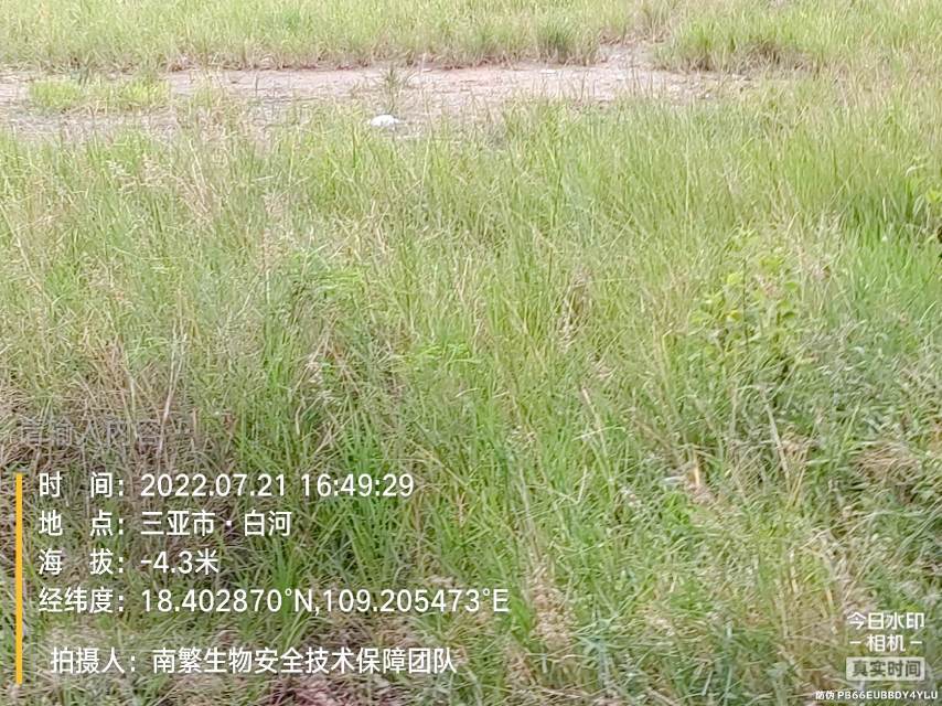 请输入内容…