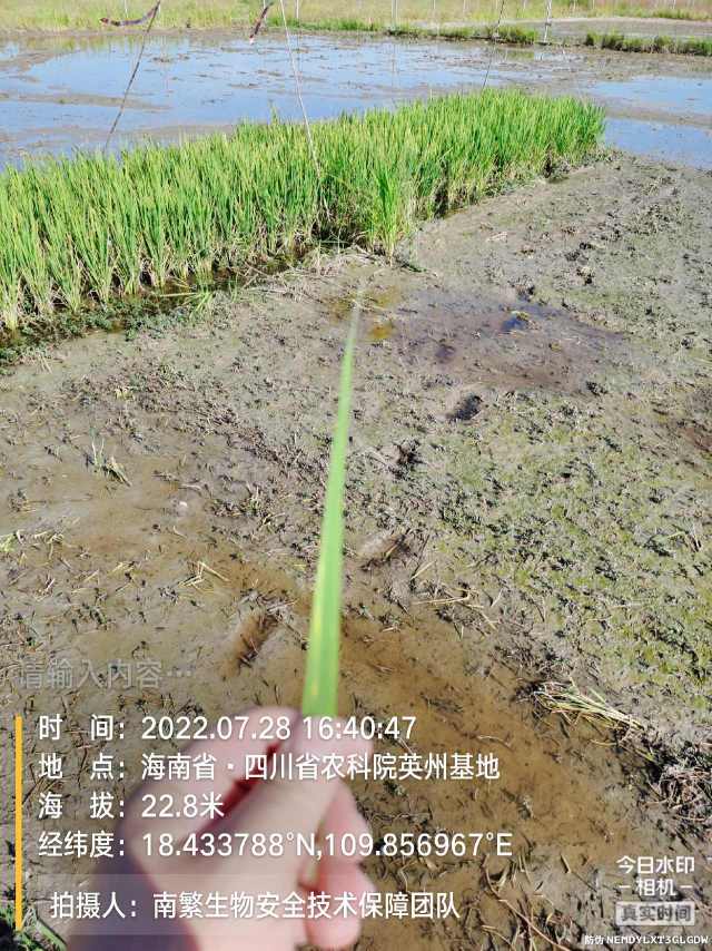 请输入内容…