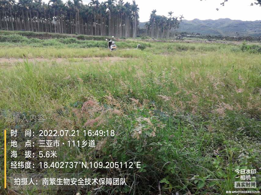 请输入内容…