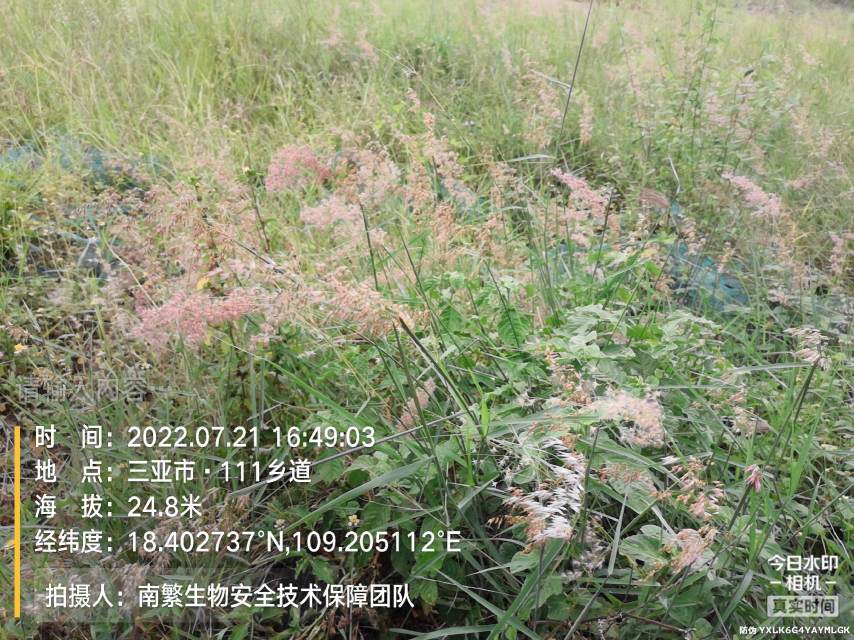 请输入内容…