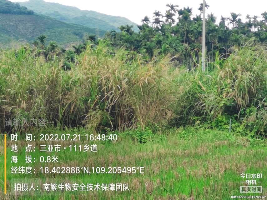 请输入内容…