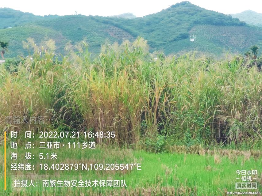 请输入内容…