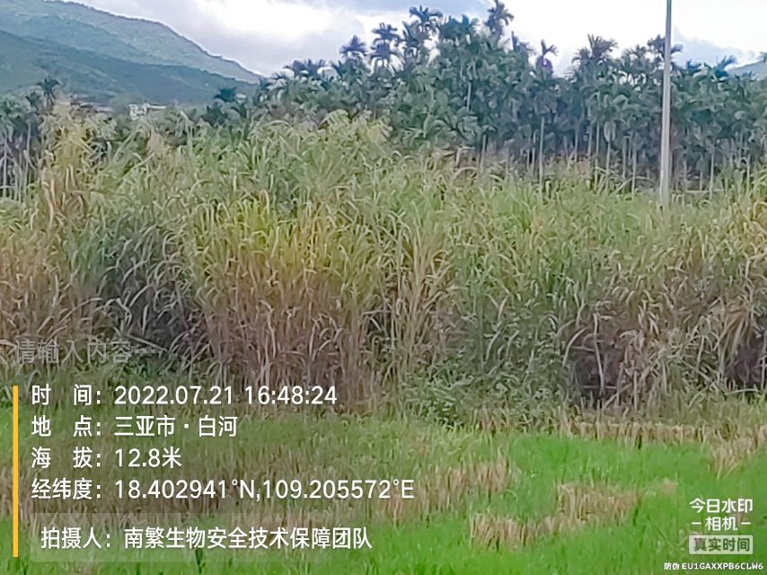 请输入内容…